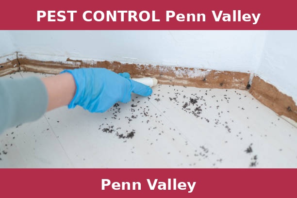 PEST CONTROL Penn Valley
